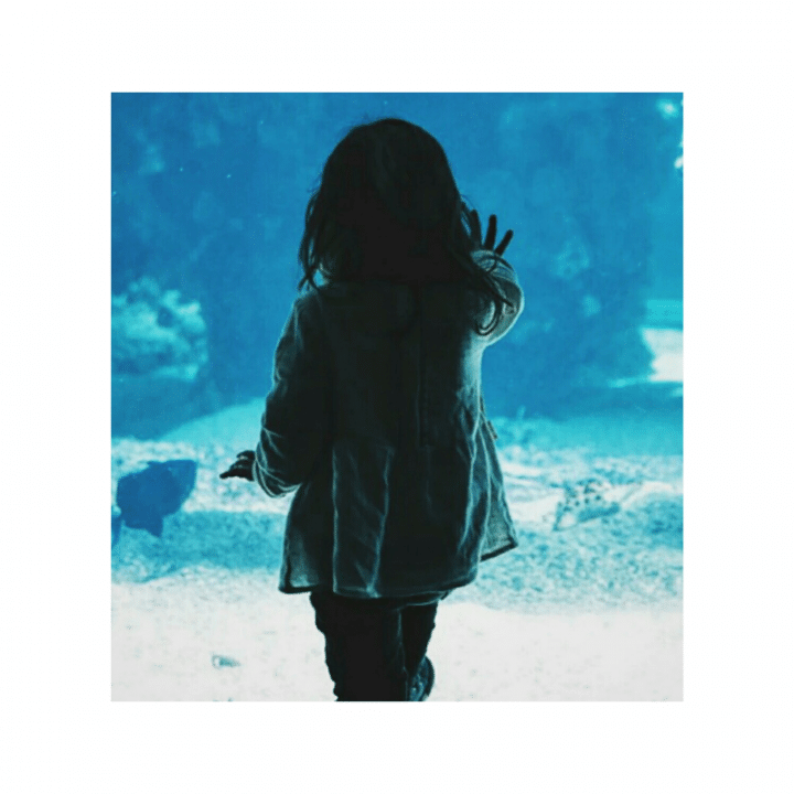 A little girl facing away from the camera, fascinated by fish at the aquarium.