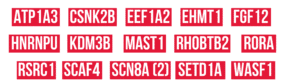 Group of different genes that are studied for epilepsy research