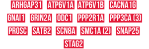 Epilepsy Genetics Initiative (EGI) – CURE Epilepsy Image 1