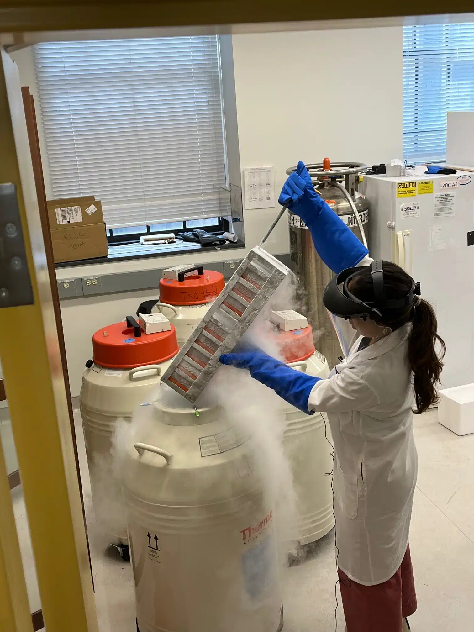 Doctor performs tasks in lab looking for epilepsy cures