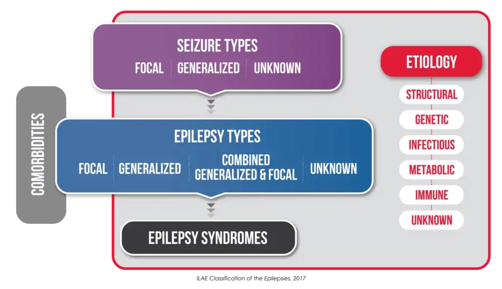 International Framework for Classifying Epilepsies flow chart showing epilepsy classification with seizure types, epilepsy types, and etiology.
