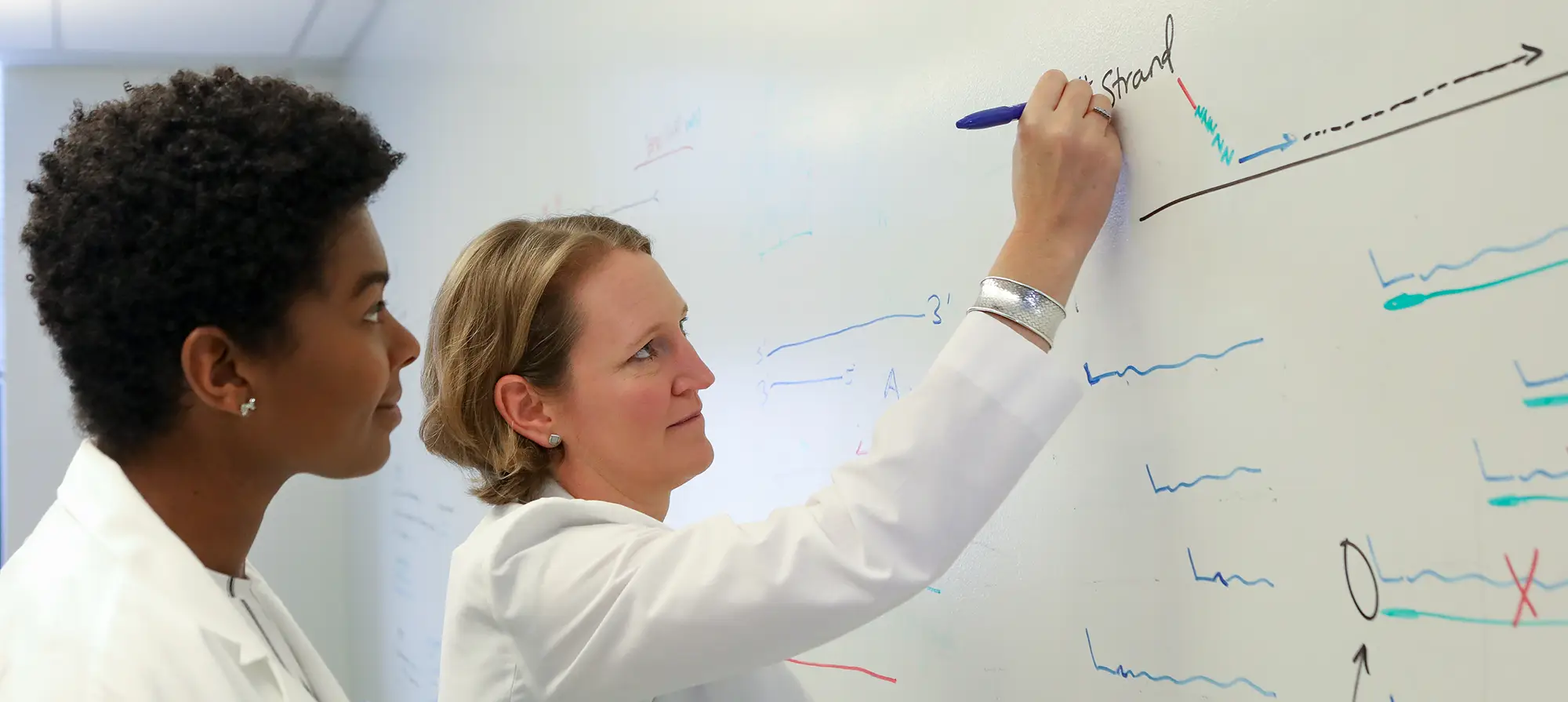 Two doctors looking at white board studying epilepsy research